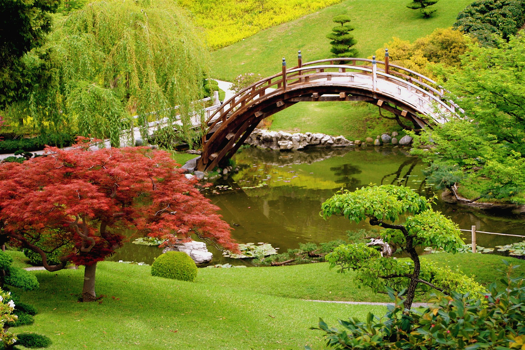   bntpal_1429600927_79