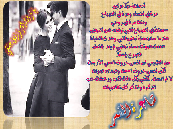 bntpal_1429637958_53