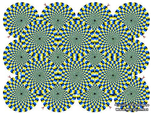 bntpal_1429690694_66