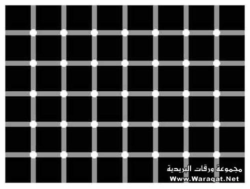 bntpal_1429690695_45