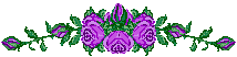 bntpal_1429700470_32