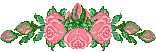 bntpal_1429700471_48
