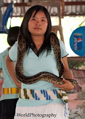   bntpal_1429700835_41