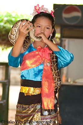   bntpal_1429700836_55