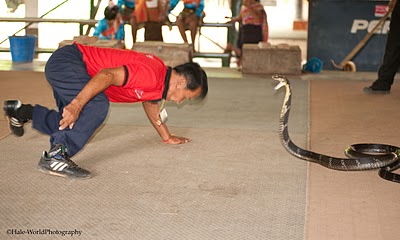   bntpal_1429700837_34