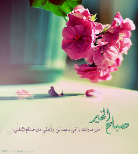 bntpal_1429766650_48