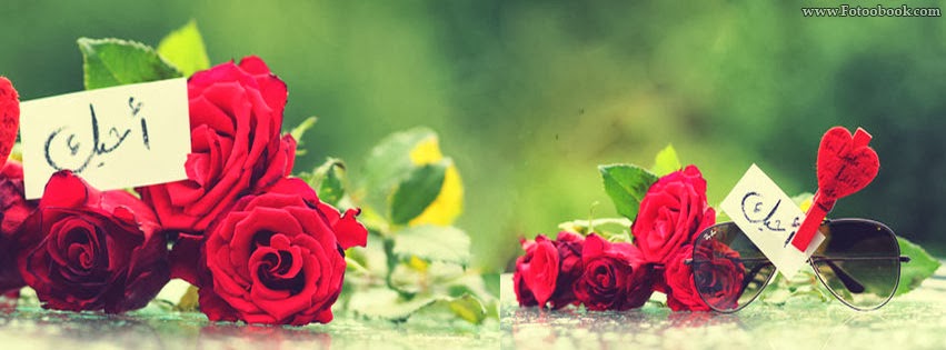 2015- 2015 bntpal_1429778894_74