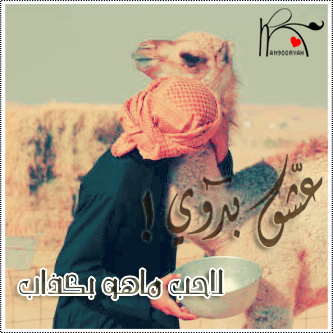 bntpal_1429801545_27
