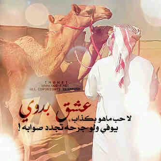 bntpal_1429801545_39