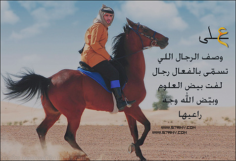 bntpal_1429801549_87
