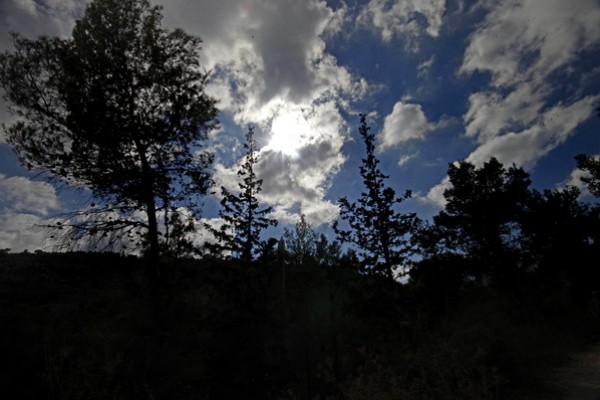 bntpal_1429812996_91