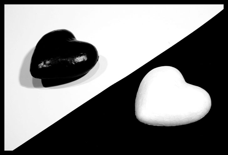 |~ bntpal_1429874024_14