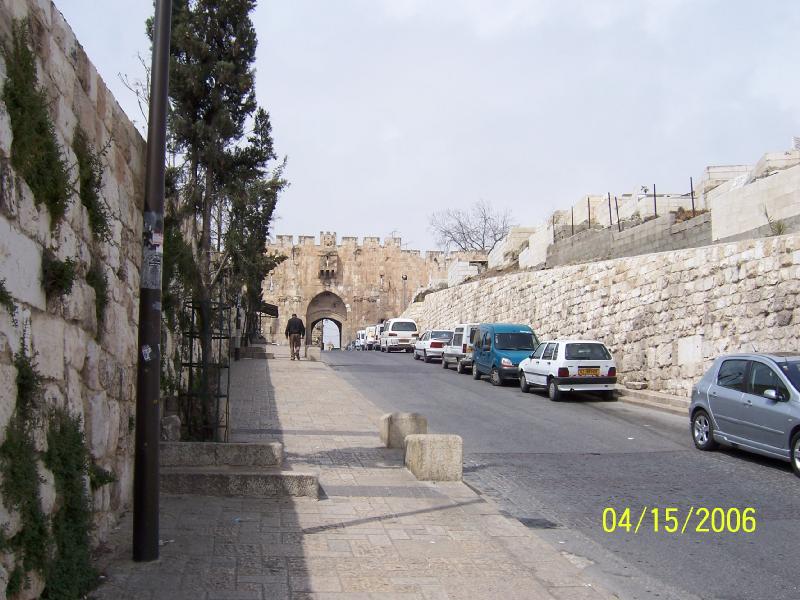 bntpal_1429899476_58