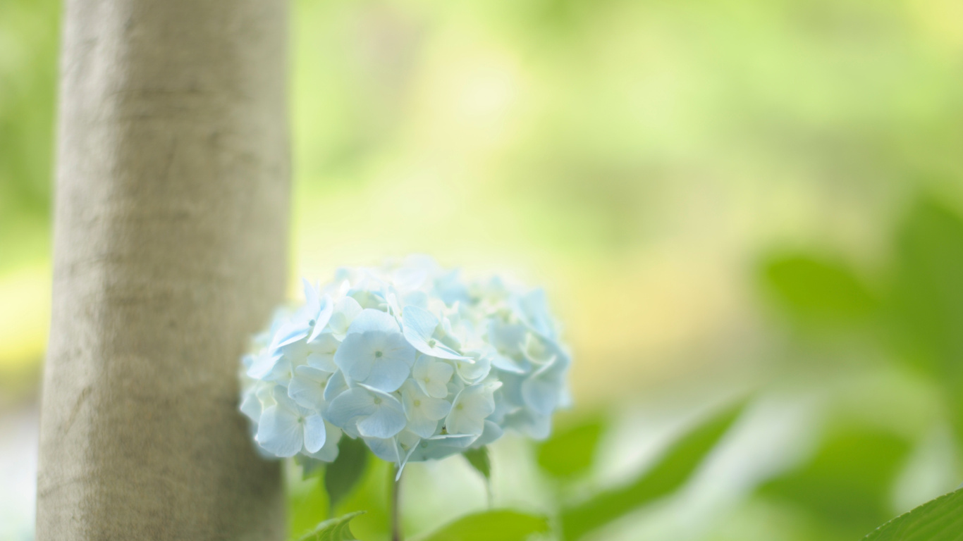 bntpal_1429905386_84