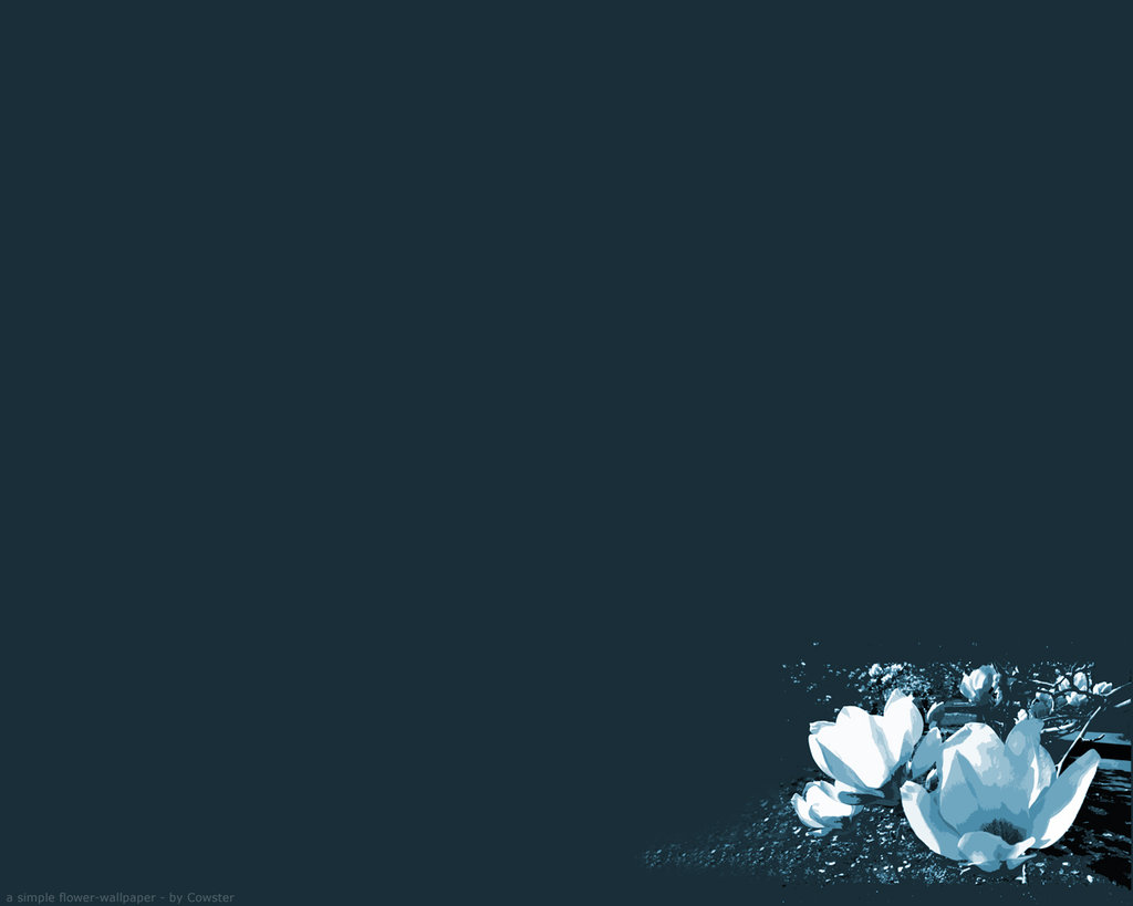 bntpal_1429905392_73
