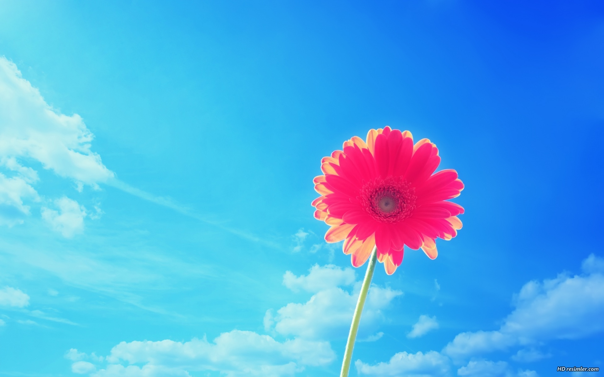 bntpal_1429905401_46