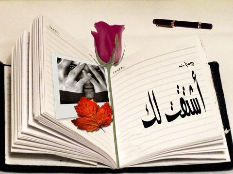 bntpal_1430124272_94