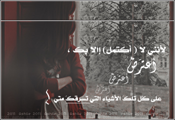 bntpal_1430126417_38