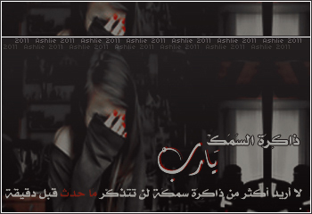 bntpal_1430126420_24