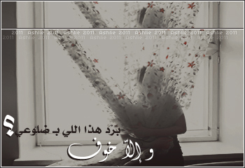 bntpal_1430126424_67