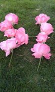  ღ bntpal_1430225031_54