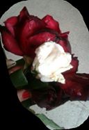  ღ bntpal_1430225031_87
