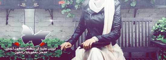 bntpal_1430243303_22