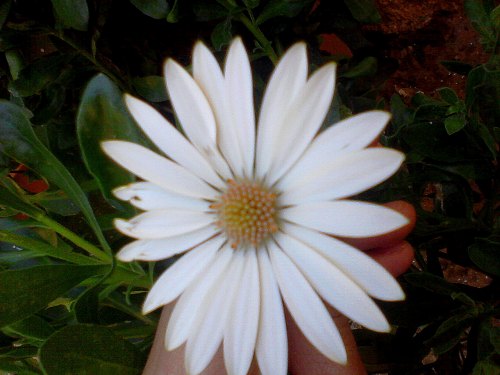 " " bntpal_1430244690_40