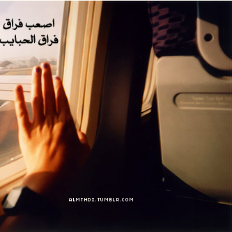 bntpal_1430259493_18