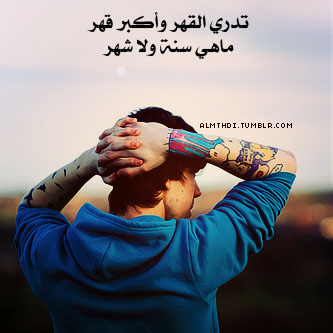 bntpal_1430259494_71