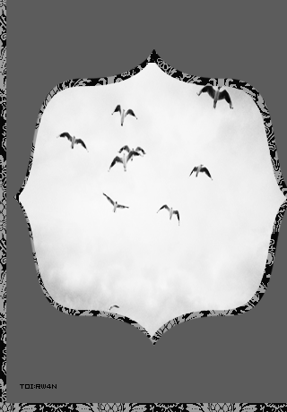 bntpal_1430259645_40