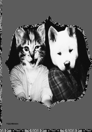bntpal_1430259655_15
