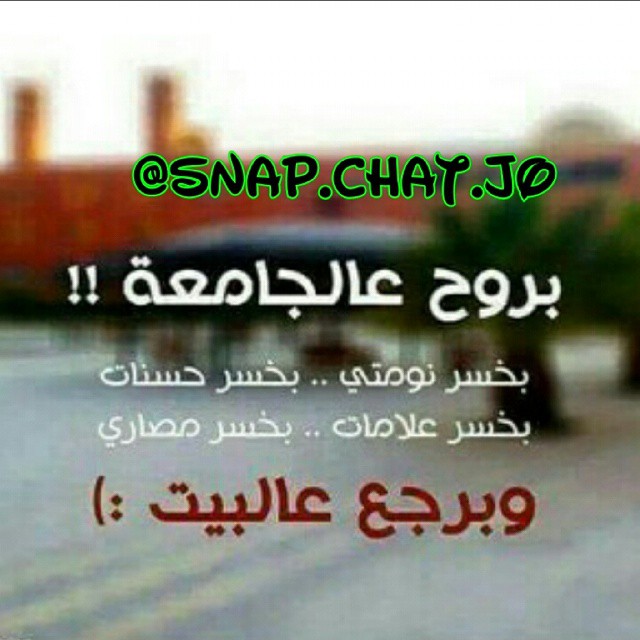 bntpal_1430298196_11