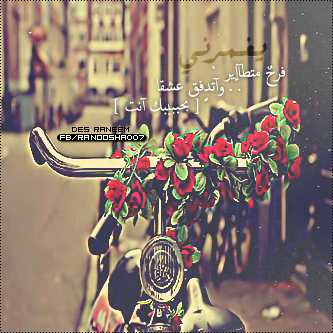 bntpal_1430301490_54