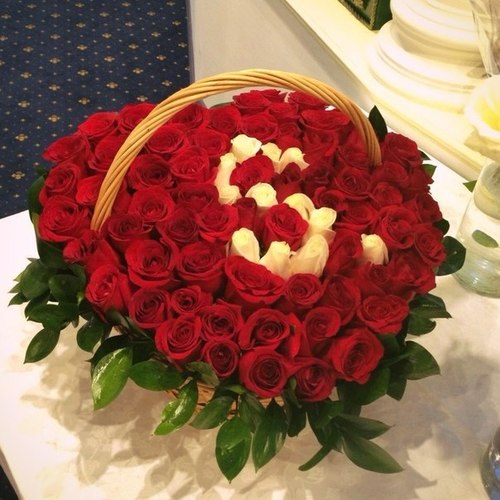 bntpal_1430399378_29