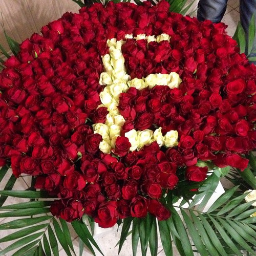 bntpal_1430399380_30