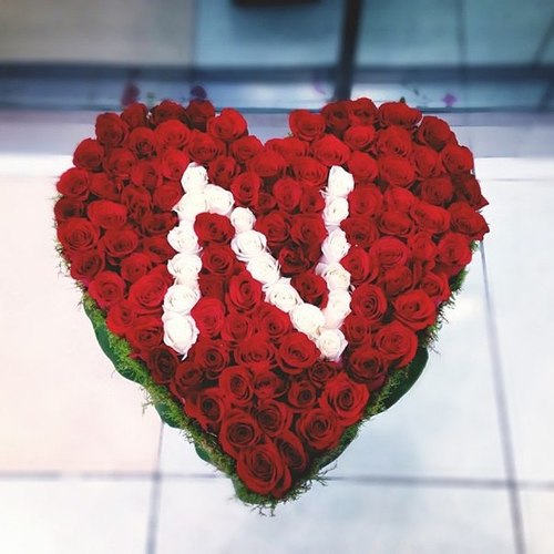 bntpal_1430399380_79