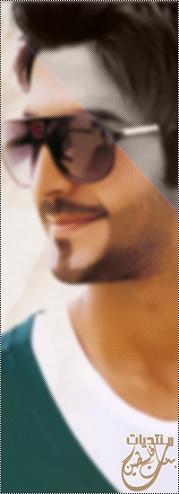 bntpal_1430467864_33
