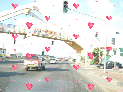 |♥| bntpal_1430480507_95