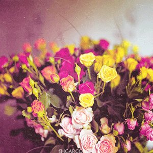 bntpal_1430561466_76