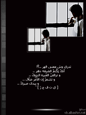 bntpal_1430561995_15