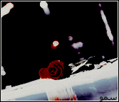 bntpal_1430561996_78