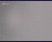 bntpal_1430561999_33