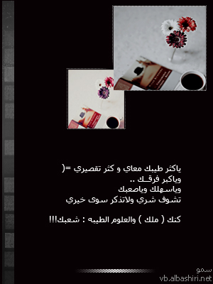 bntpal_1430562002_59