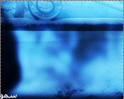 bntpal_1430562005_12