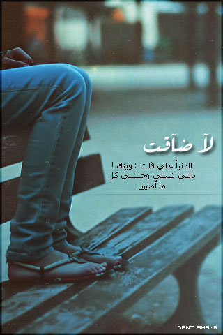    bntpal_1430562583_51