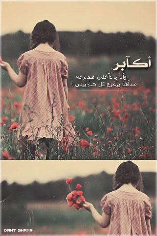    bntpal_1430562584_24