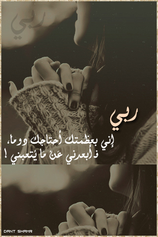    bntpal_1430562587_99