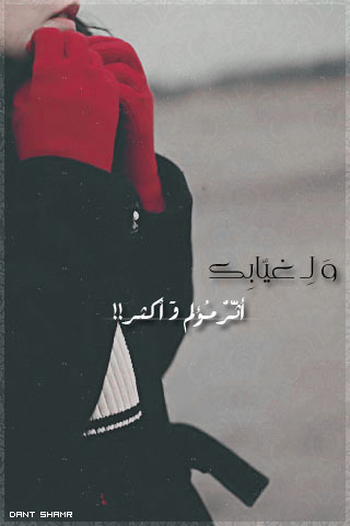    bntpal_1430562589_67