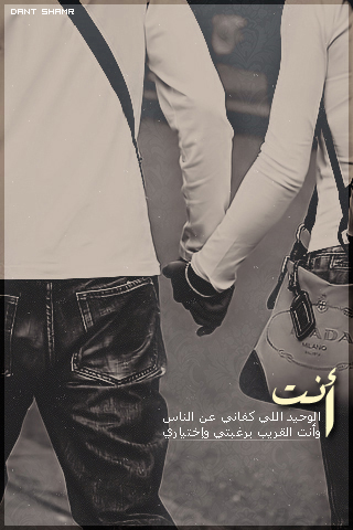    bntpal_1430562591_52